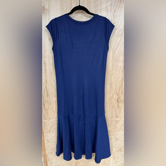 Maeve Anthropologie Ismene Navy Blue Metallic Cap Sleeve Drop Waist Midi Dress S - Picture 6 of 9